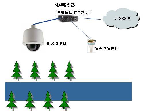 荔枝视频黄下载系统