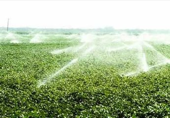 节水荔枝视频黄下载厂家