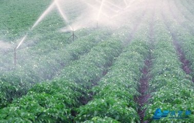 节水荔枝视频黄下载