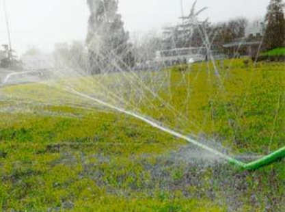 节水荔枝视频黄下载